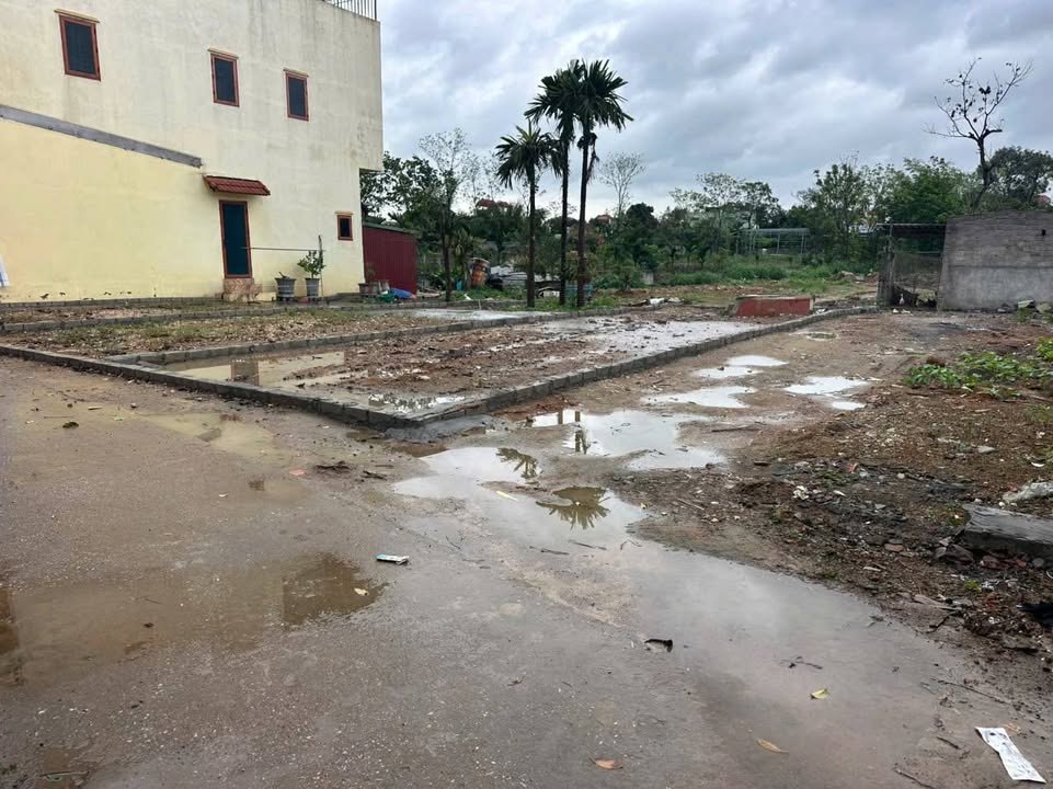 Bán Đất Đồng Tâm Mỹ Đức 80m² Full Thổ Cư - Sổ Sẵn Sẵn Sàng Giao Dịch