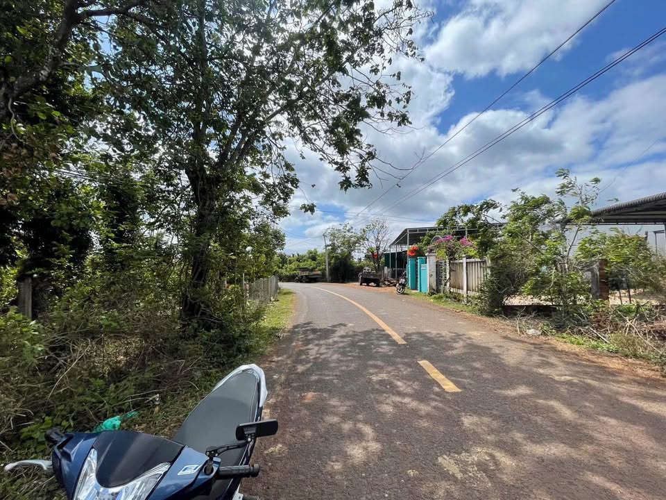 Mặt Tiền Kinh Doanh Đường 19/5 Buôn Ma Thuột 175m² - Giá Tốt