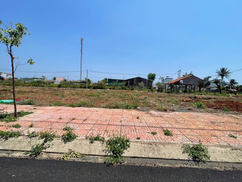 Đất Tái Định Cư Tân Lập 120m² - Ngay Chợ Đầu Mối - Giá 3.4 Tỷ