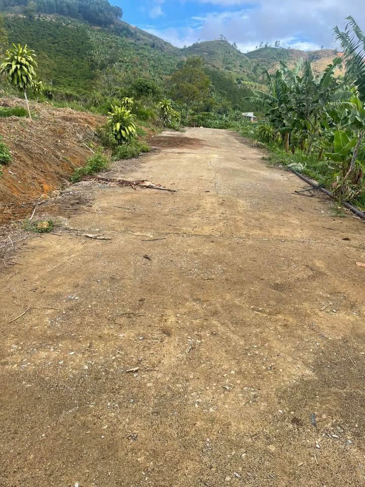 Bán Đất Nền Thổ Cư 232m² Lộc Thành, Bảo Lâm - Giá Tốt 335 Triệu/Nền