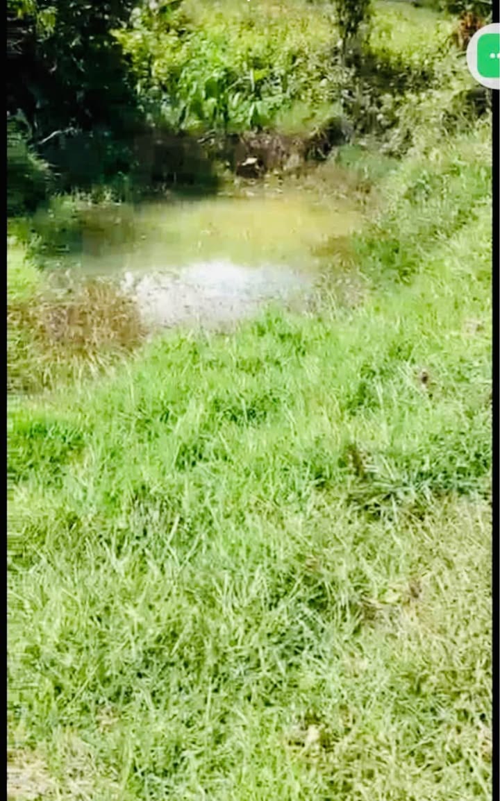 Bán Đất Vàng 8 Sào Mặt Tiền Nhựa Lộc Phát, Bảo Lộc - View Đồi Thoáng Đãng