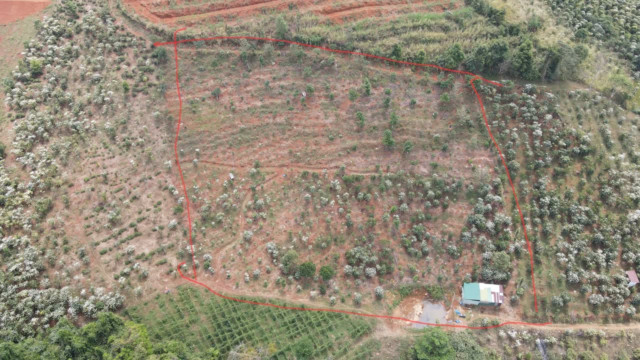 Đất Vườn Lâm Đồng 3600m² Giá 700 Triệu - Sẵn View Nghỉ Dưỡng