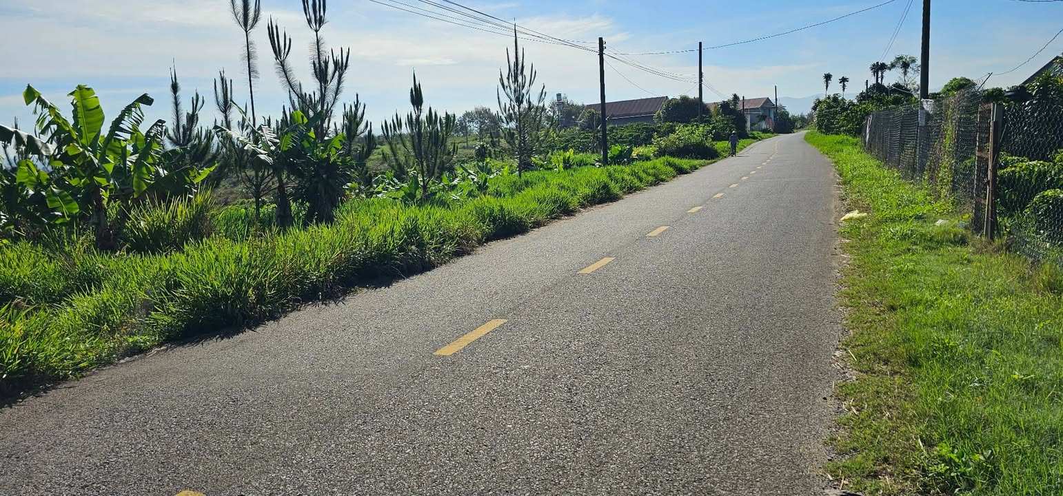 Đất Mặt Tiền Âu Cơ Bảo Lâm 250m² - Giá Đầu Tư Hấp Dẫn