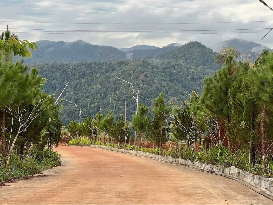 Bán Đất Vườn 10000m² Bảo Lộc - View Đỉnh, Giá Đầu Tư 4 Tỷ