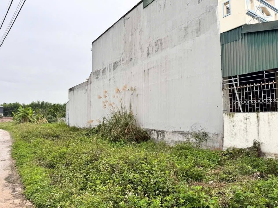 Đất nền Uông Bí 145m² 2 mặt tiền - Giá chỉ từ 1.0x tỷ