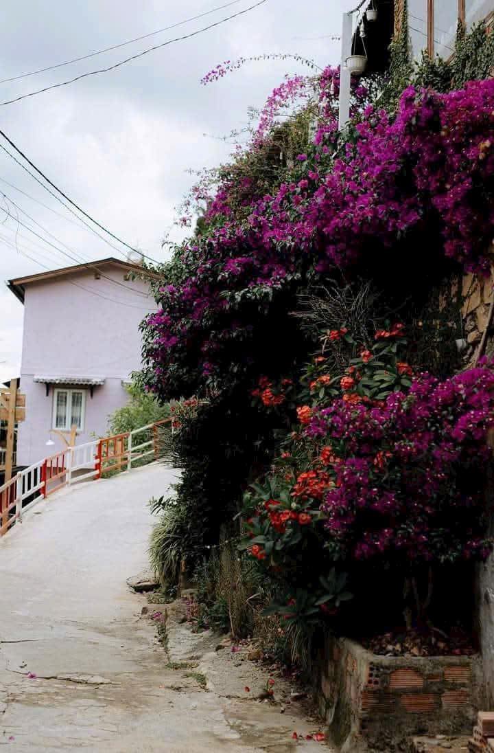 Nhà Nguyên Căn 80m² Đường Mai Xuân Thưởng, Đà Lạt - Giá 6 Triệu/Tháng