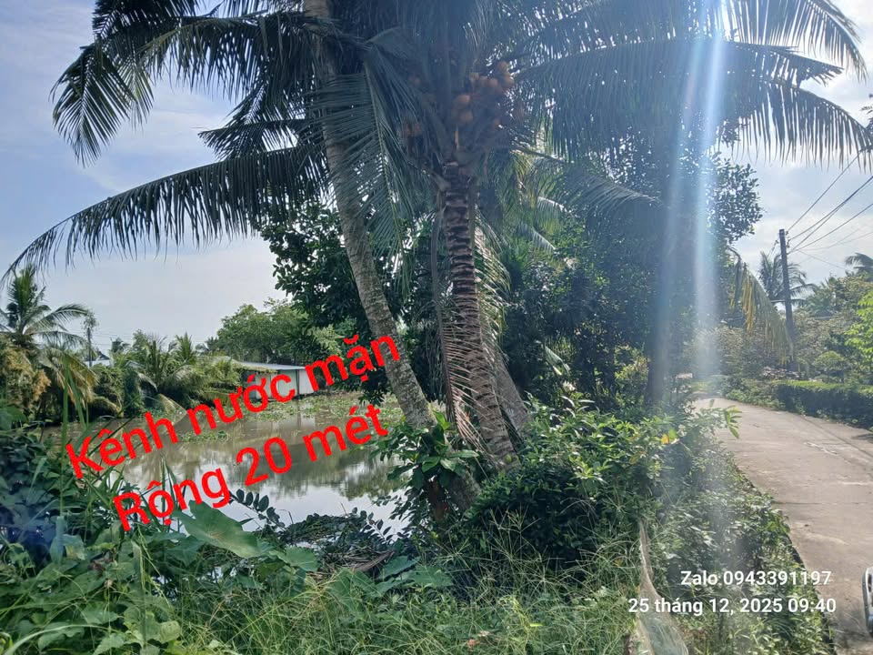 Đất Thổ Cư Châu Thành, An Giang 215.5m² - Giá 520 Triệu, Sẵn Xây Dựng