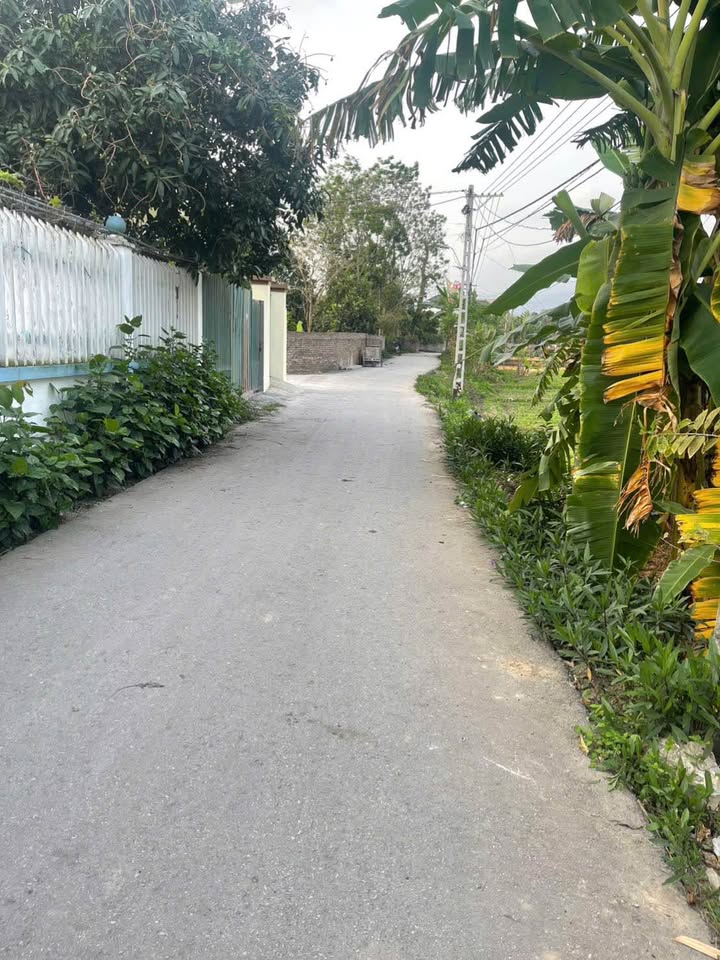 Đất Vĩnh Phúc 120m² mặt tiền 7m, giá 6xx triệu - Sổ đỏ sẵn sàng!