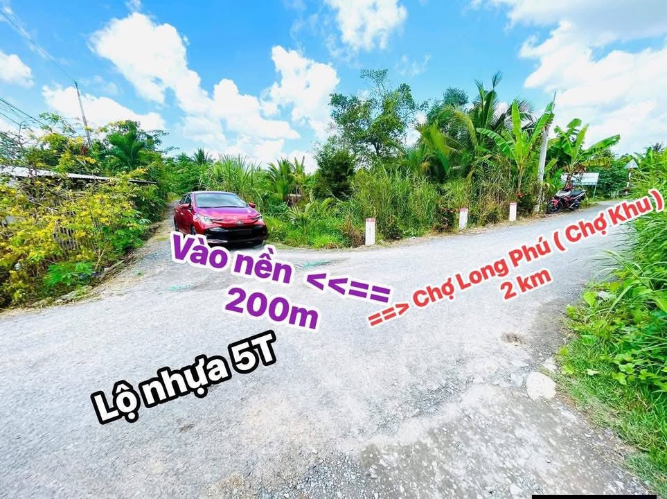 Đất Vĩnh Long 303m² CLN - Mặt Tiền 23m Giá Chỉ 255 Triệu