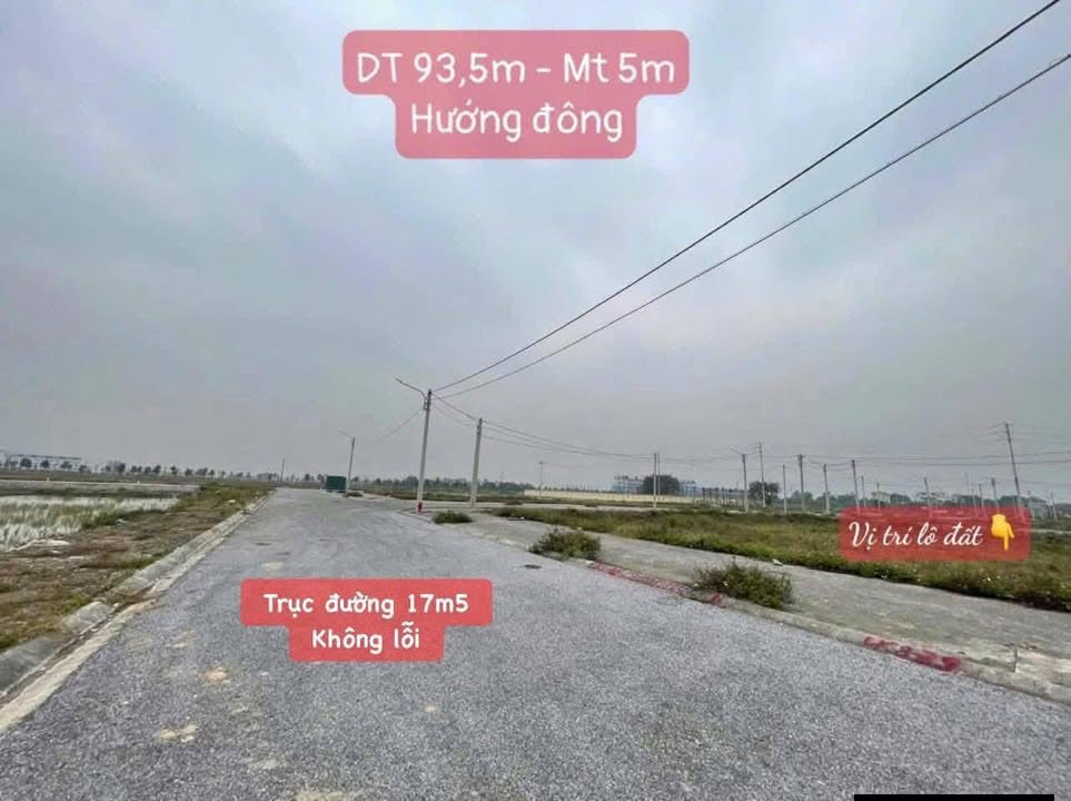 Đất nền đấu giá Thanh Phong, Hà Nam - 93.5m² - Sổ đỏ sẵn sàng - 1.7 tỷ