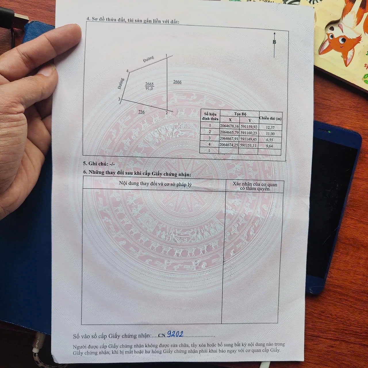 Cơ hội vàng sở hữu đất giá rẻ, tiềm năng tại Việt Nam