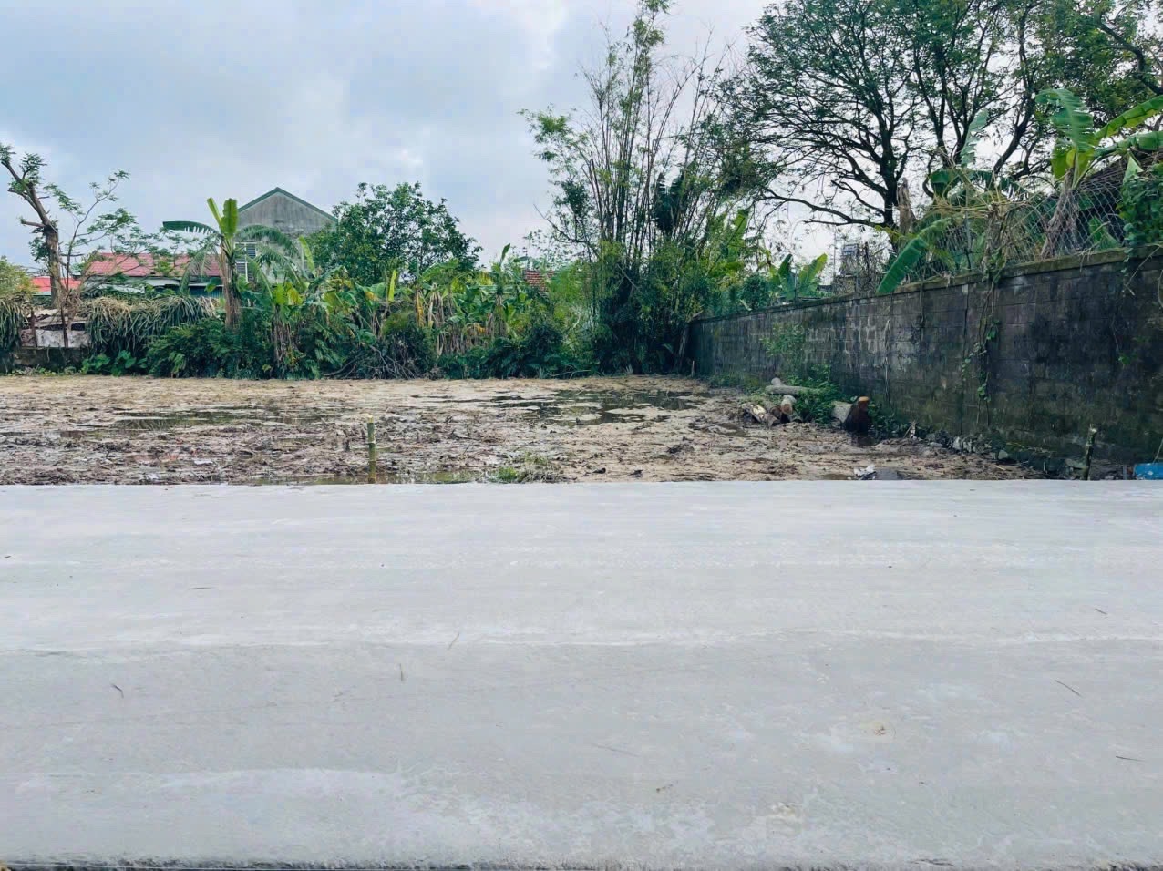 Bán Đất Nghi Trung