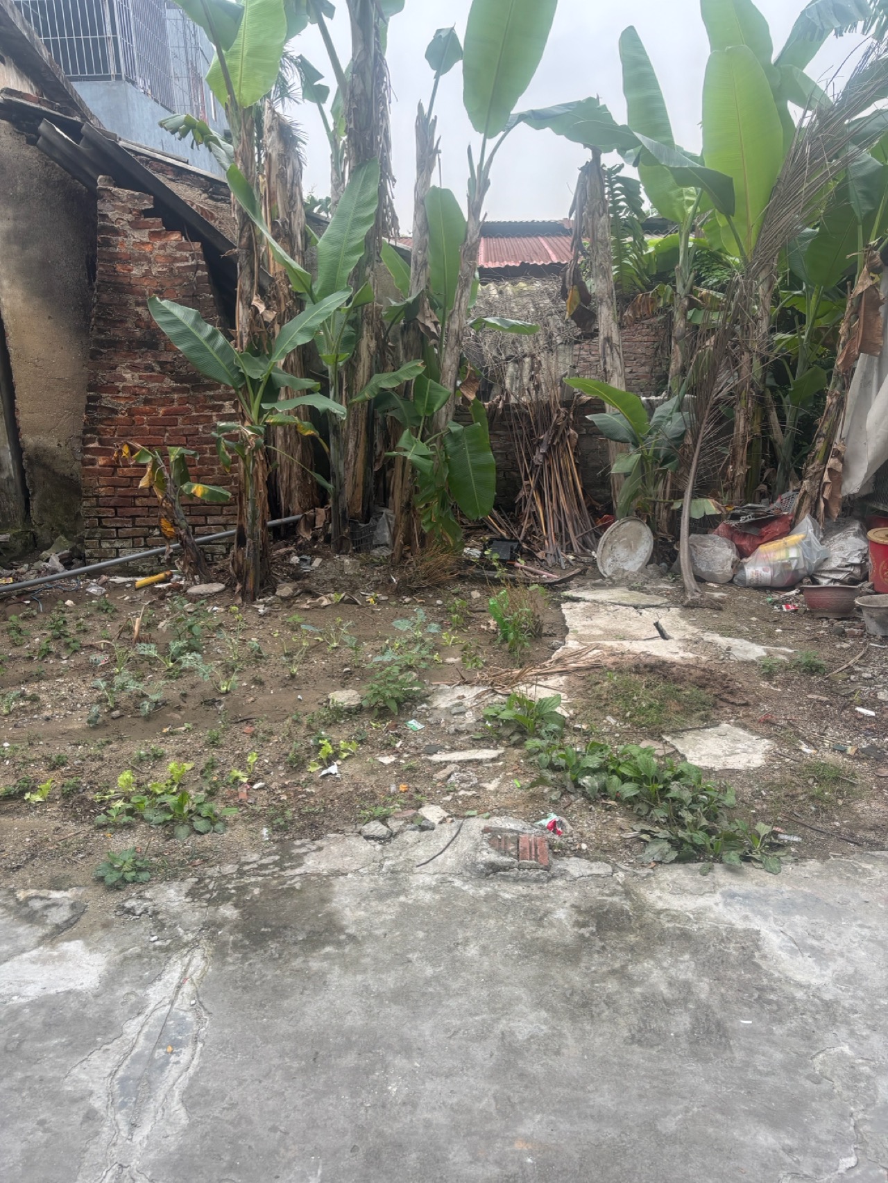 Cơ hội sở hữu đất giá tốt, vị trí tiềm năng tại khu vực phía Nam