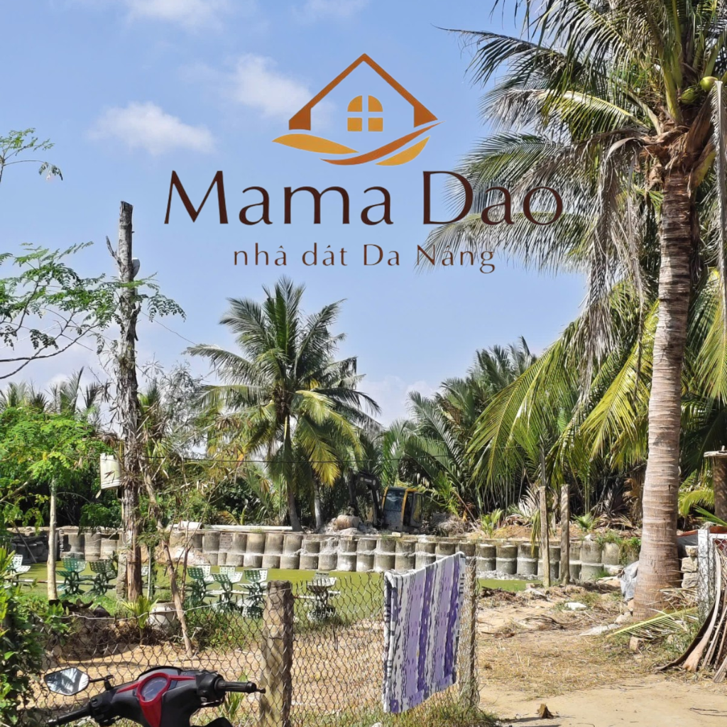 ĐẤT ĐẸP CẠNH RỪNG DỪA, CẨM THANH, HỘI AN GIÁ 2,4 tỷ