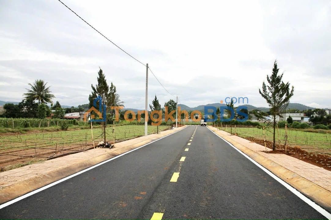 Bán Đất Nền Đức Trọng - 75m² Gần QL20, Giá Chỉ 1.2 Tỷ/Lô