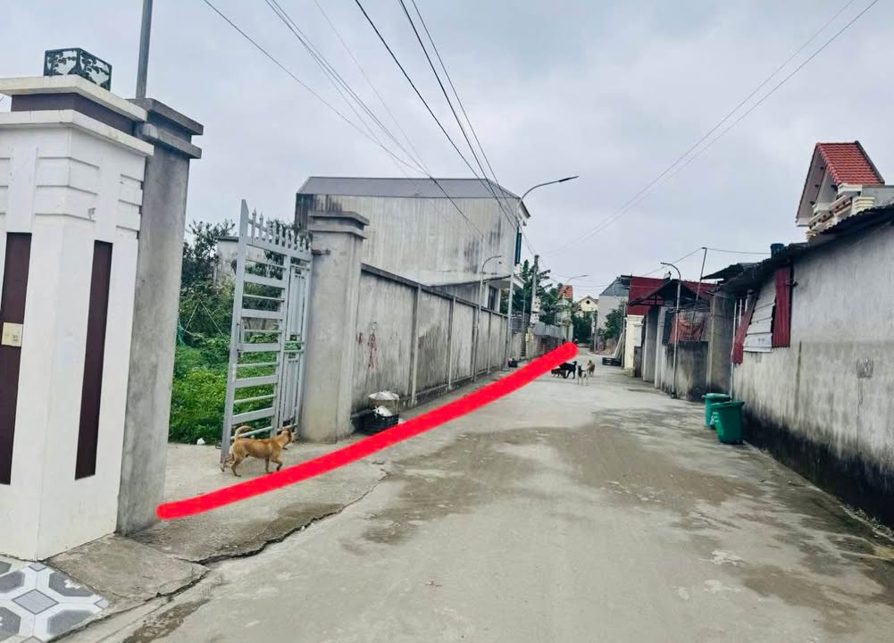 Đất Nền An Lão - Sổ Đỏ 60m² F0 Giá 9xx Triệu - Đầu Tư Sinh Lời