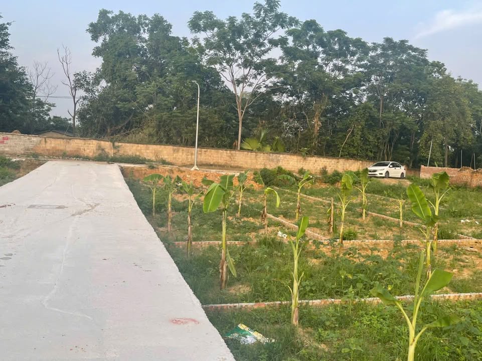 Đất Vĩnh Phúc - Lô Góc 102.7m² Đường Tỉnh Lộ 309, Tam Quan - Giá Tốt