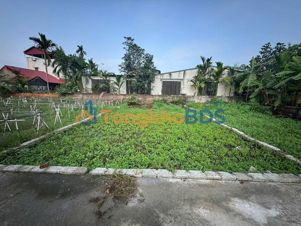 Đất nền Phú Xuyên 80m² giá chỉ từ 1.5 tỷ - Cơ hội đầu tư sinh lời