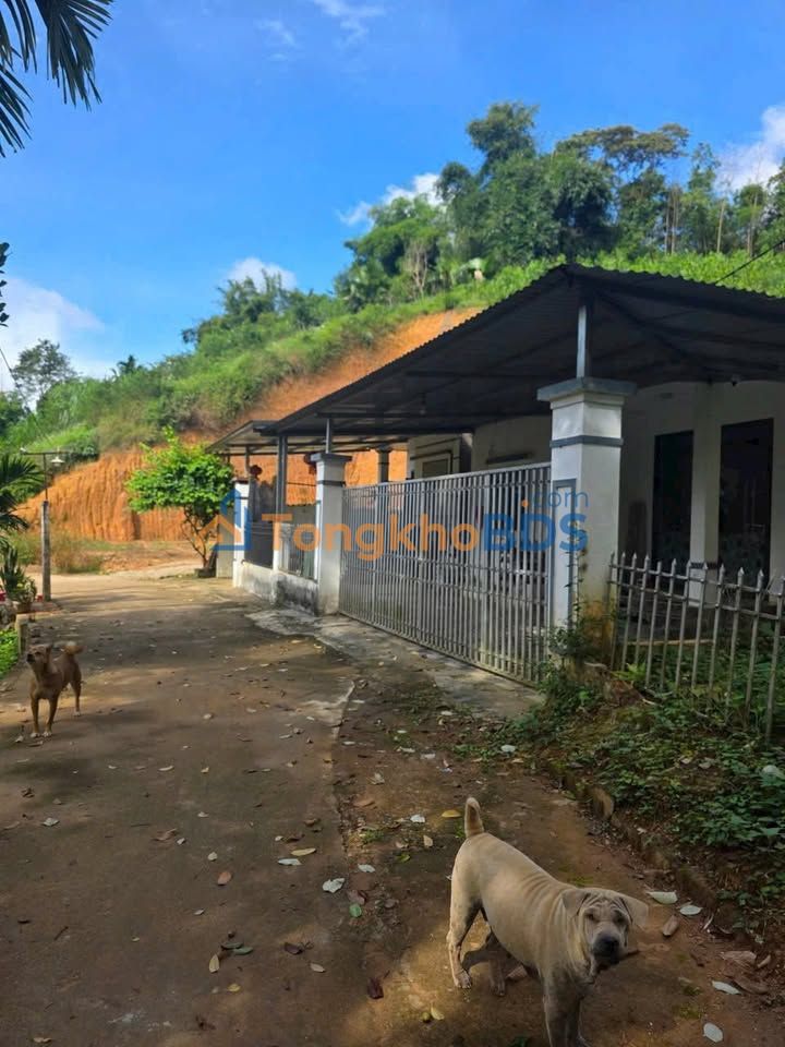 Đất Vàng Yên Bái - 97m² Thổ Cư Gần Trường Nguyễn Trãi, Sẵn Sổ Hồng