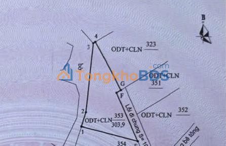 Bán Gấp Đất Vườn 303.9m² Hải Hoà, Móng Cái - Giá Dưới 1.6 Tỷ