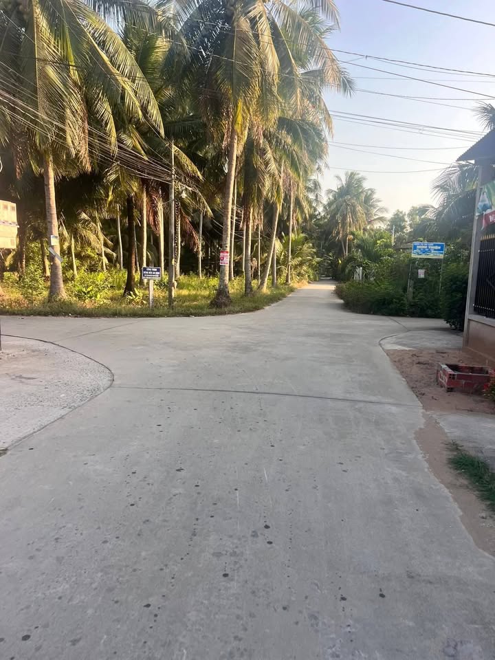 Đất Nền 2 Mặt Tiền Bình Đại 1298m² - Kinh Doanh/Xây Trọ Sinh Lời Cao