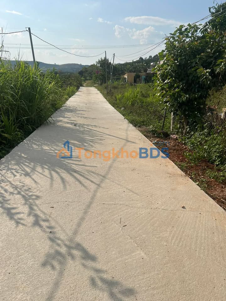 Đất nền 2160m² Xã Tân Văn, Lâm Hà - Giá F0 460 Triệu