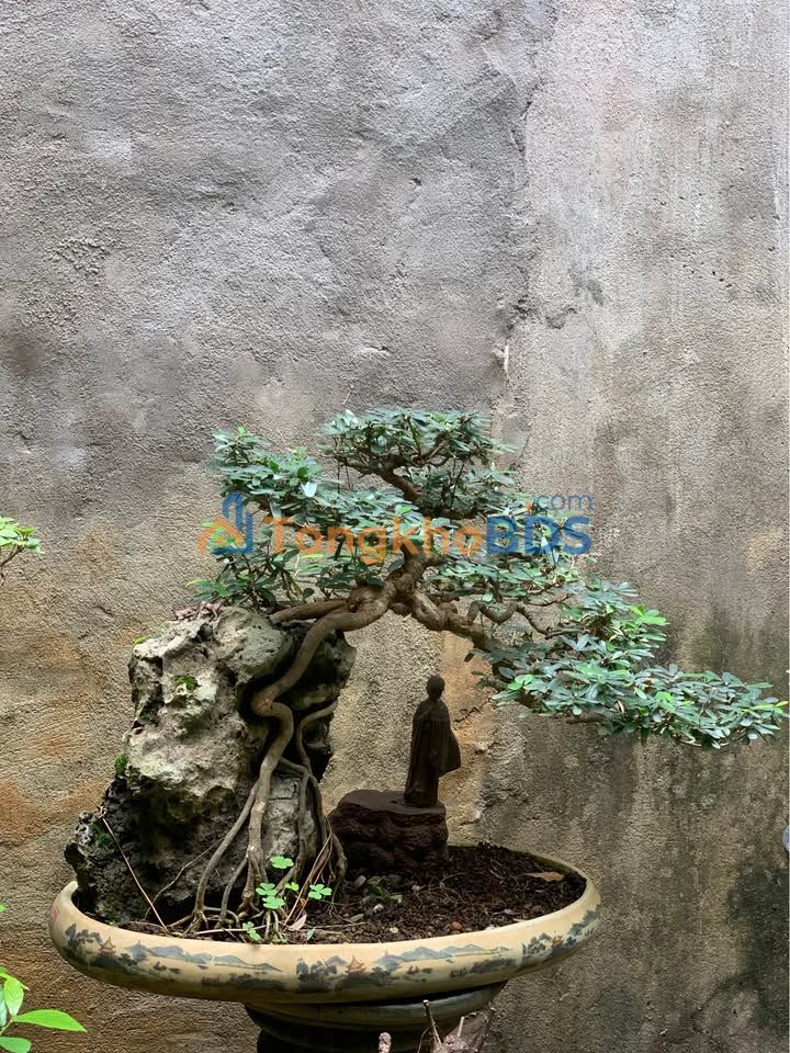 Nhà Mặt Tiền Nguyễn Thái Học, Vinh - 159m² - 12 Tỷ - Kinh Doanh Đắc Lợi