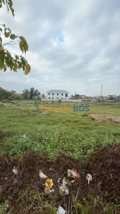 Đất Nền Trung Tâm Quỳnh Lâm, Nghệ An - 252m² Full Thổ Cư, Giá 2.5 Tỷ