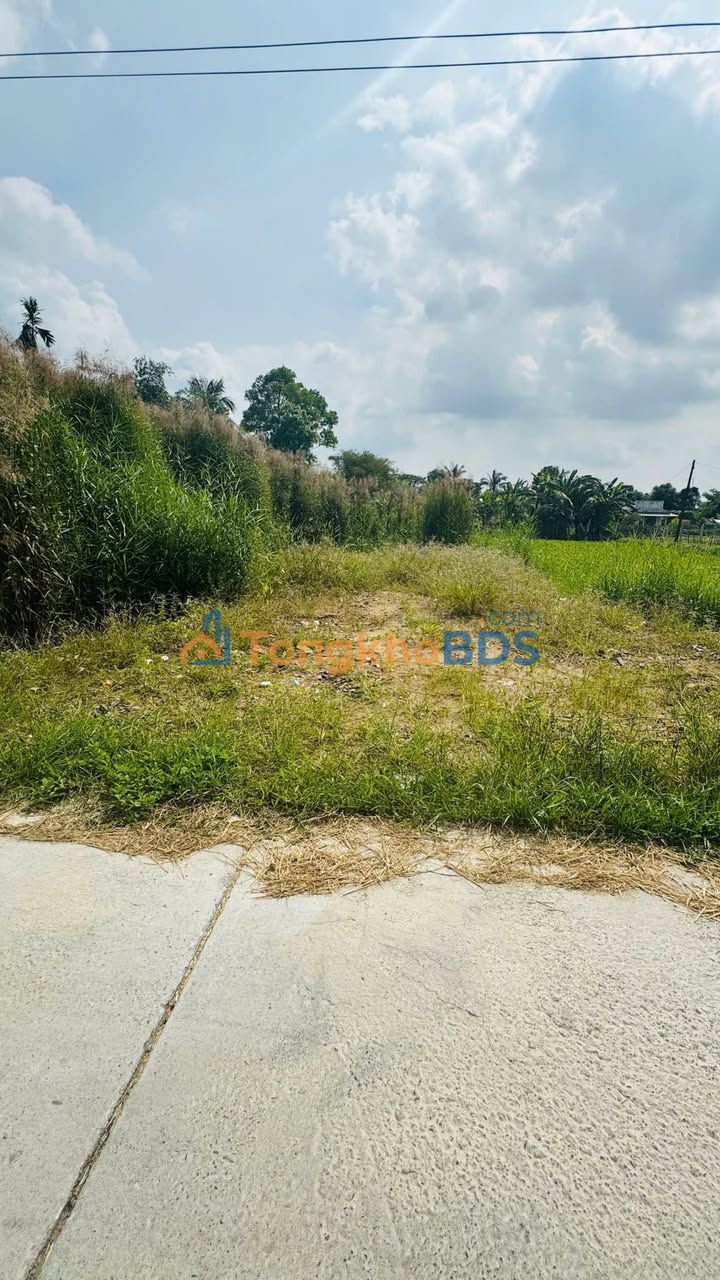 Bán Đất 500m² Mặt Tiền Đường Ô Tô Vĩnh Long - Sổ Hồng Sẵn Sàng