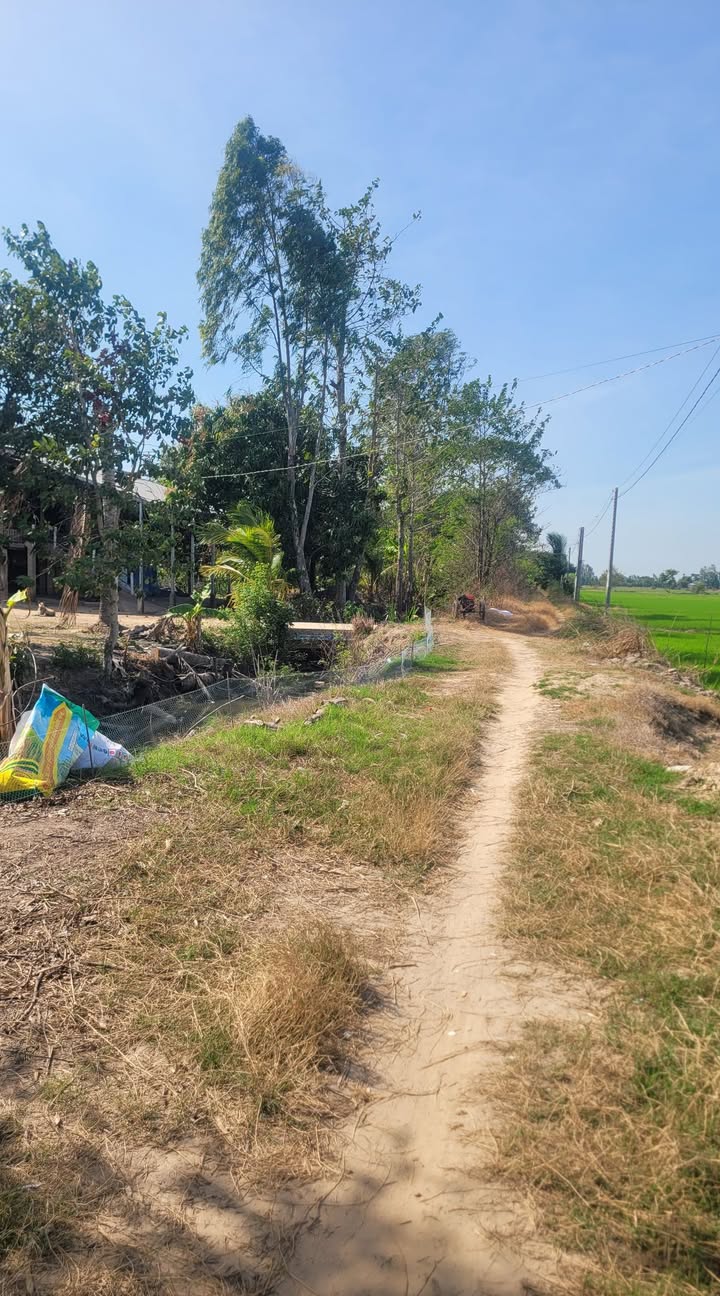 Đất Vườn Đồng Tháp - 737m² Giá 100 Triệu - Sổ Đỏ Rõ Ràng