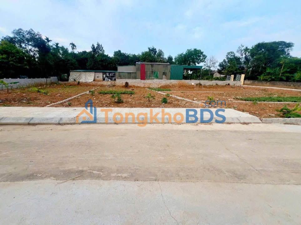 Đất Nền Thọ Tân, Triệu Sơn 115m² - Sổ Hồng Sẵn Sàng - Giá 450 Triệu