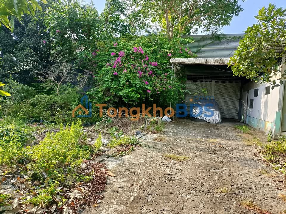 Cho thuê kho 840m² đường Nguyễn Nhạc, Long Xuyên - Sẵn sàng hoạt động