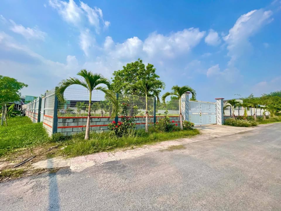 Nhà Vườn Củ Chi 1960m² Sổ Hồng Riêng - Nghỉ Dưỡng Lý Tưởng