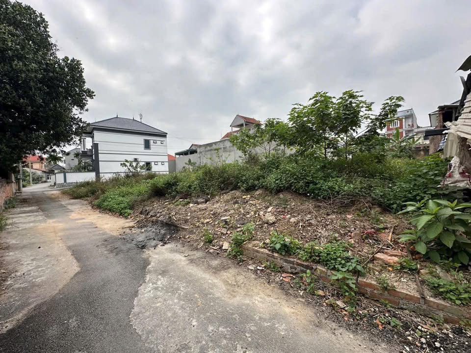 Bán Đất Lai Sơn Đồng Tâm 149m² - Sổ Đỏ Chính Chủ, Gần SVĐ Vĩnh Yên