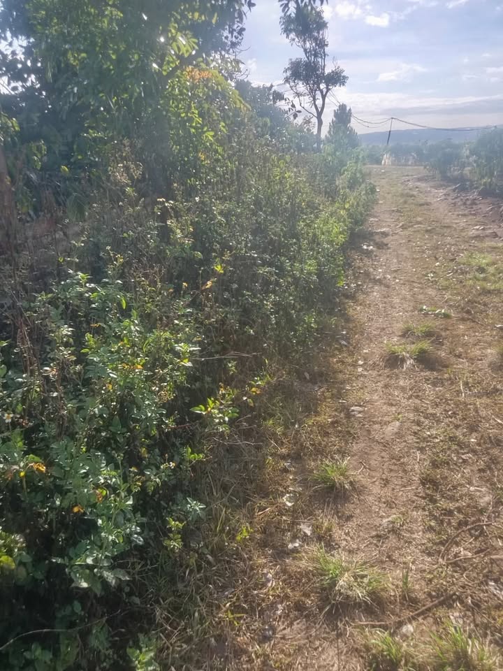 Đất Vườn Lâm Đồng 6120m² - Mặt Tiền 15m Giá 1.2 Tỷ