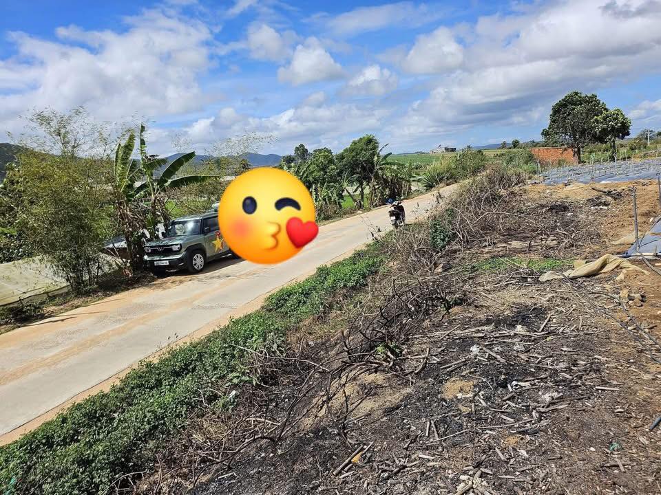 Đất Nền 14400m² Lâm Đồng - View Rừng Thông Thoáng, Giá Đầu Tư 3.37 Tỷ