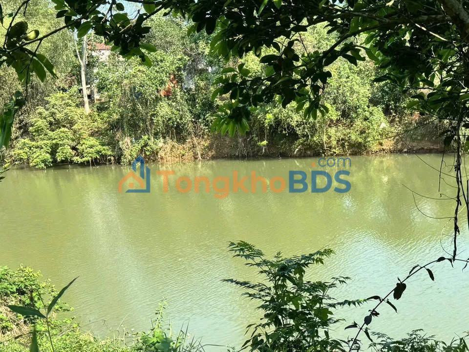 Đất nền Hoà Bình 700m² - View đồng, bám suối - Giá đầu tư 5xx triệu