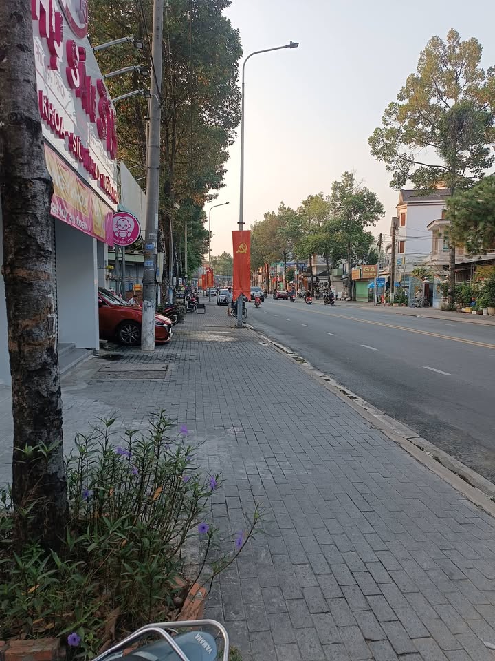 Đất Mặt Tiền Lê Hồng Phong, TDM - 229m² Sổ Hồng Riêng