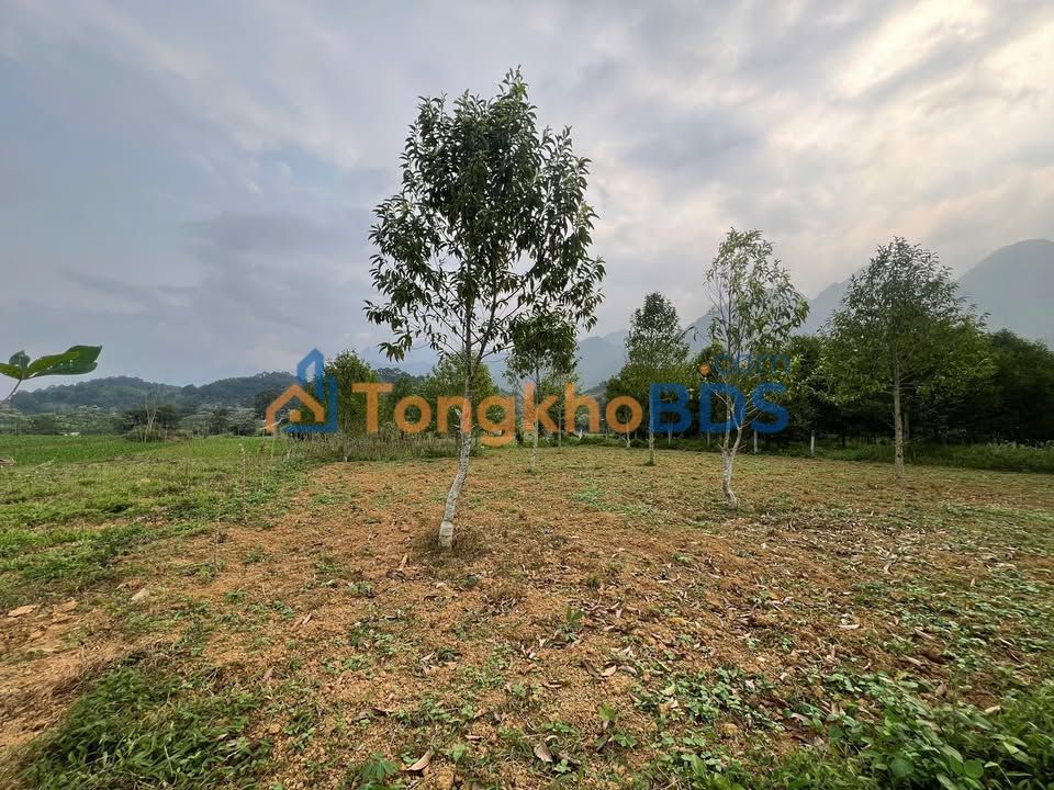 Đất BHK 487m² Tân Lạc, Hoà Bình - Chỉ 220 Triệu