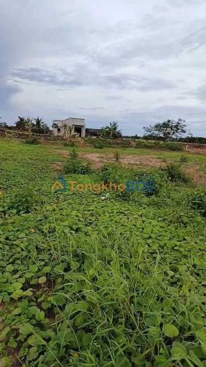 Bán Gấp 3000m² Đất Mặt Tiền Lộ 3m, Sóc Trăng - Giá Tốt