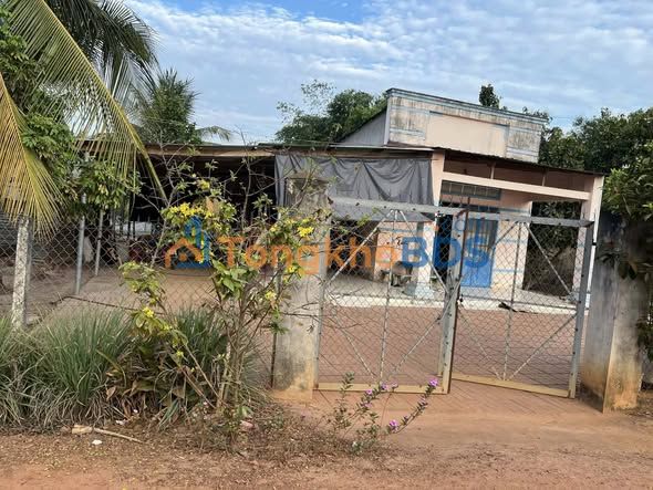 Nhà cấp 4 Thạnh Lộc Tân Biên 1620m² 71 tỷ - Sổ đỏ chính chủ