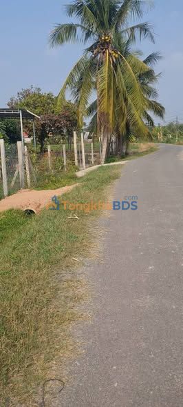 Đất nền Trảng Bàng 250m² mặt tiền đường nhựa - Sổ đỏ sẵn sàng