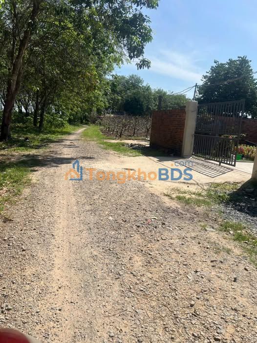 Bán đất 3600m² xã Thạnh Bình, Tân Biên - Có nhà vườn, sổ hồng