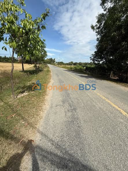 Bán Đất Thổ Cư 420m² Mặt Tiền An Thuận, Nhà Bè - Sổ Hồng Sẵn Sàng