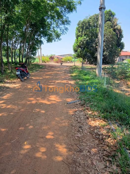 Đất nền Trí Bình, Châu Thành, Tây Ninh - 4116m² - Sổ hồng sẵn sàng đầu tư