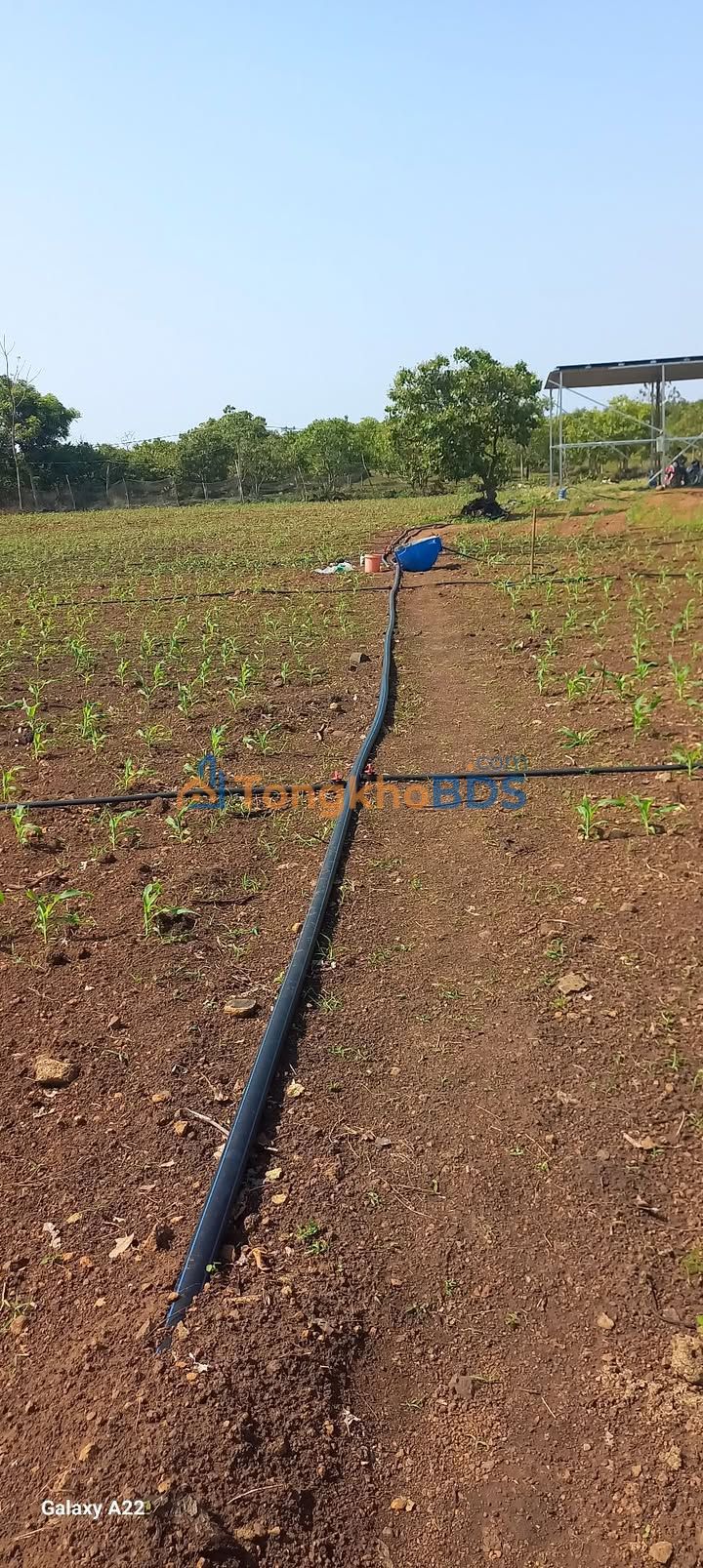 Đất Vườn Tuy Đức 2880m² Sổ Đỏ - Giá Đầu Tư 1.55 Tỷ