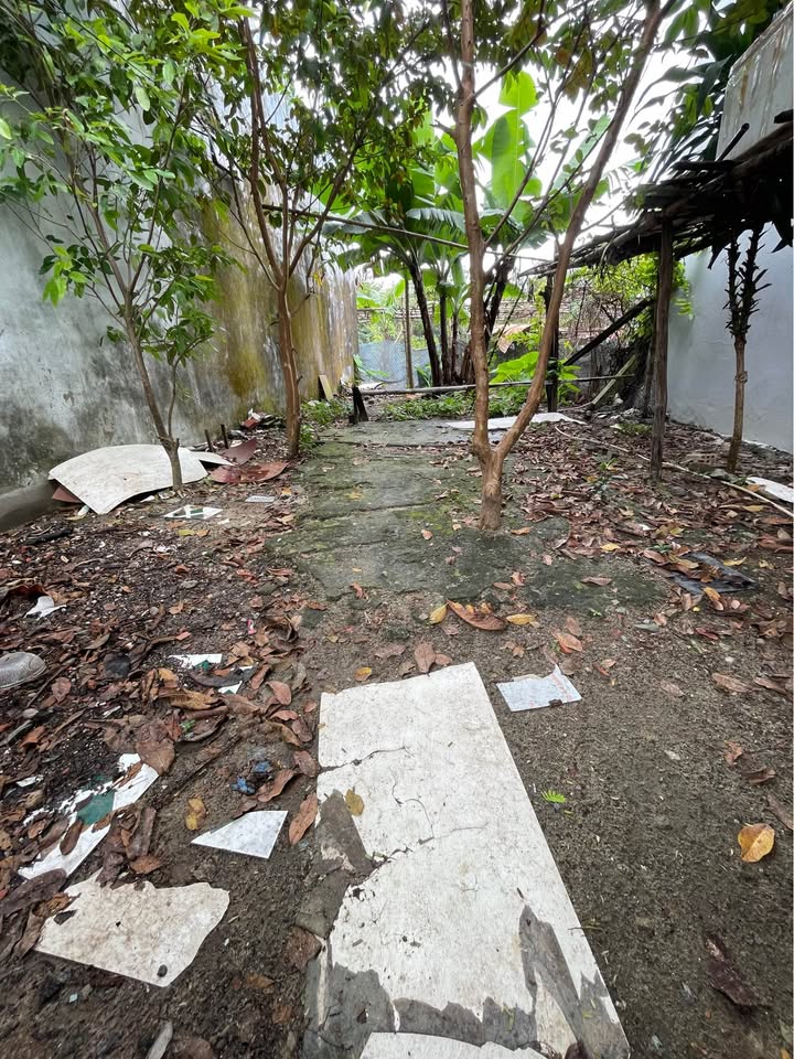 Bán Đất K82 Nguyễn Lương Bằng, Đà Nẵng 75m² - Giảm Sốc 2.9 Tỷ, Sát ĐH Bách Khoa