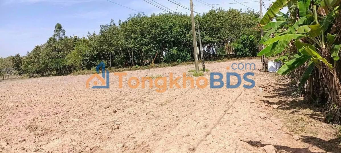 Bán Đất Phước Vinh Châu Thành 2600m² Mặt Tiền Nhựa - Giá Đầu Tư 3.2 Tỷ