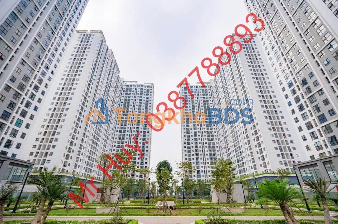 Shop Ecohome Bắc Từ Liêm 545m² - Mặt bằng kinh doanh đắc địa, sẵn sàng đón khách