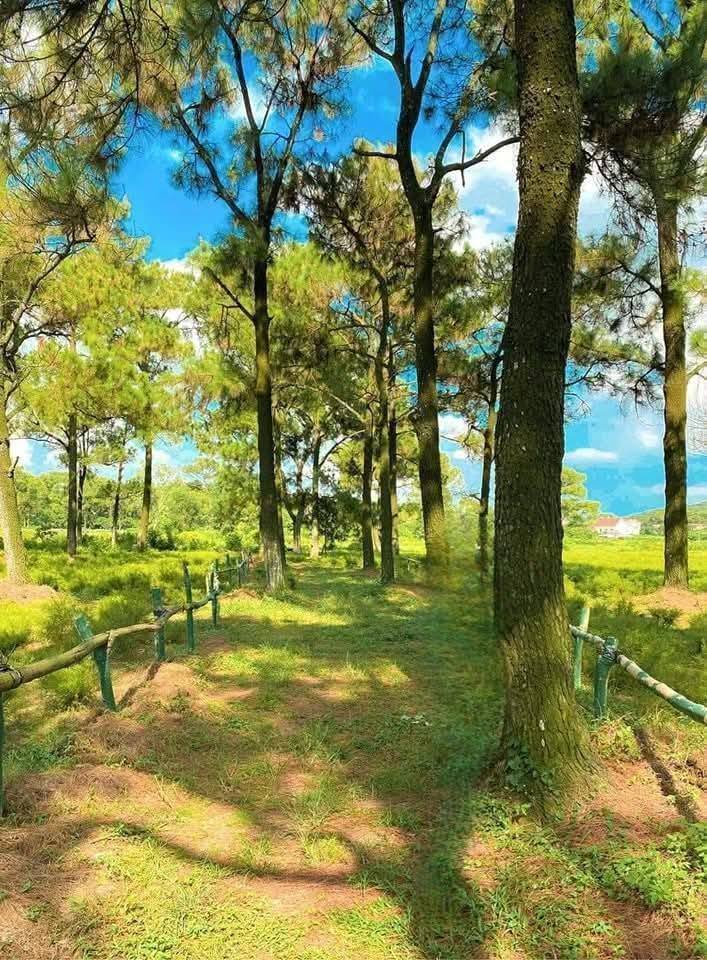 Đất Nghỉ Dưỡng 1800m² Có Nhà 2 Tầng Gần Hồ Côn Sơn - Chí Linh